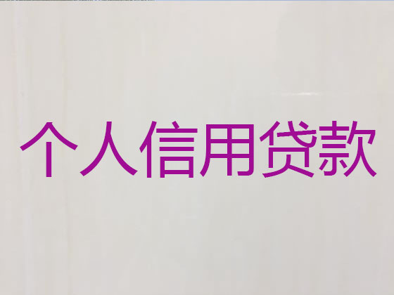 射洪市信用贷款中介公司